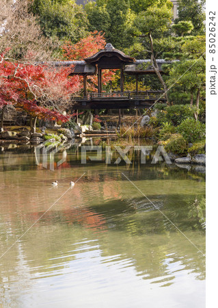 京都　晩秋の渉成園　回棹廊 85026242