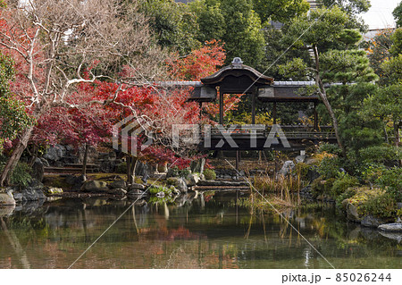 京都　晩秋の渉成園　回棹廊 85026244