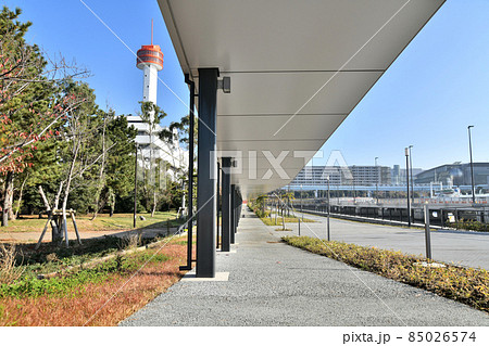 東八潮緑道公園(東京都品川区)【2021.12】 東八潮緑道公園(東京都品川区)【2021.12】 85026574