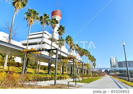 東八潮緑道公園(東京都品川区)【2021.12】 東八潮緑道公園(東京都品川区)【2021.12】 85026602