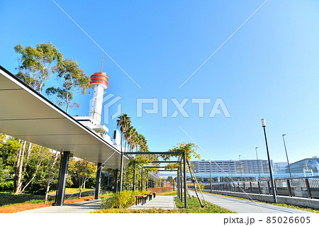 東八潮緑道公園(東京都品川区)【2021.12】 85026605