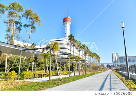 東八潮緑道公園(東京都品川区)【2021.12】 85026606