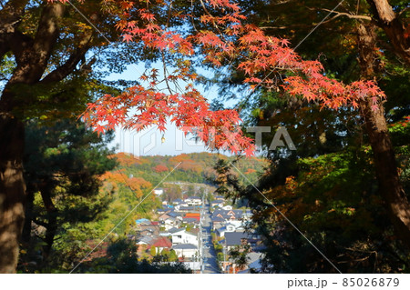 埼玉県東松山市岩殿 岩殿観音巌殿山正法寺 紅葉もみじと参道 埼玉県東松山市岩殿 岩殿観音巌殿山正法寺 紅葉もみじと参道 85026879