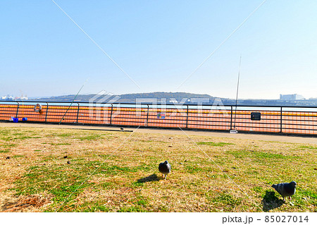 暁ふ頭公園より中央防波堤内側埋立地方面を望む(東京都江東区)【2021.12】 85027014