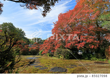 美しいどうだん亭の秋の庭園 美しいどうだん亭の秋の庭園 85027098
