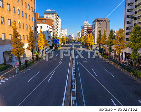 東京板橋・高島平団地の黄葉 東京板橋・高島平団地の黄葉 85027162
