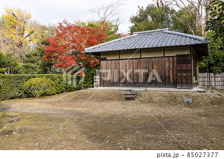 京都　晩秋の渉成園　代笠席 85027377
