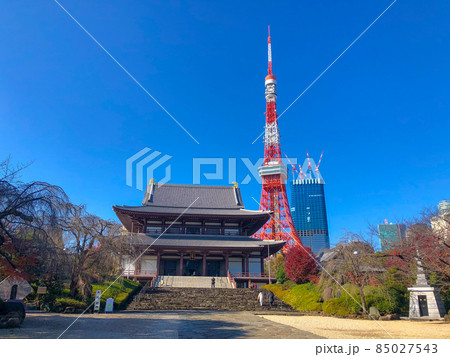 東京芝・増上寺と東京タワー 東京芝・増上寺と東京タワー 85027543
