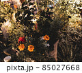 フラワーガーデン、美しい植物 85027668
