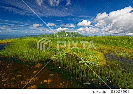 朝日連峰・寒河山付近の池塘と以東岳の眺め 朝日連峰・寒河山付近の池塘と以東岳の眺め 85027902