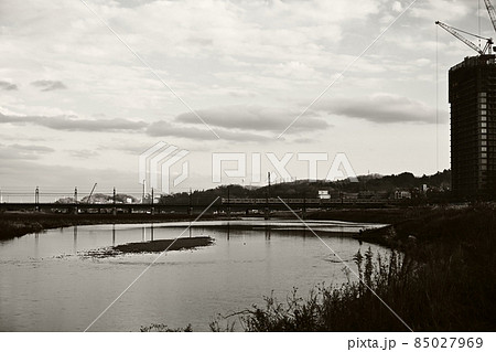 冬　多摩川の流れ　モノクローム　建設中のマンションと鉄道橋梁　貴重な自然が残る多摩川河川敷 85027969