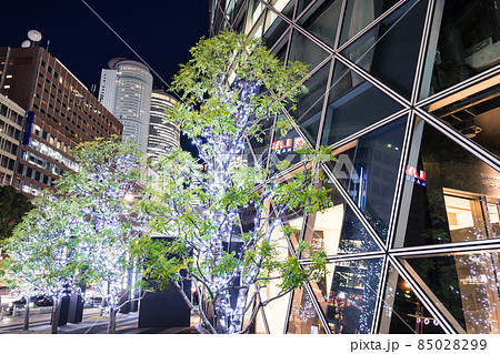 名古屋市中村区　名古屋駅前都市風景　モード学園スパイラルタワーズ前からJRセントラルタワーズを望む　 85028299