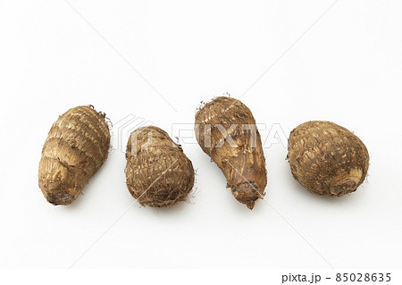 里芋 白バックの写真素材
