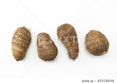 里芋 白バック 里芋 白バック 85028648