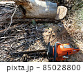 A Chainsaw Next to a Log 85028800