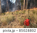 Drip Torch with Fire 85028802