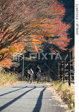 紅葉のメイプル耶馬サイクリングロード 85028975