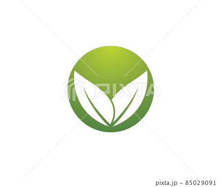 Leaf symbol vector icon illustration 85029091
