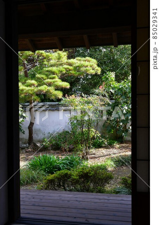 臼杵城下町　武家屋敷　稲葉家下屋敷 85029341