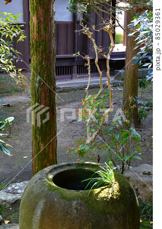 臼杵城下町　武家屋敷　稲葉家下屋敷 85029361