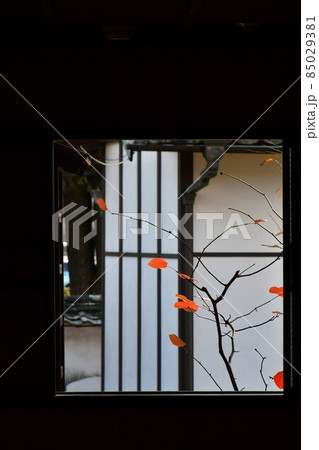 臼杵城下町　武家屋敷　稲葉家下屋敷 85029381