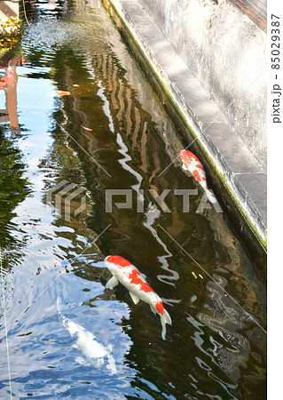 臼杵城下町　武家屋敷　稲葉家下屋敷 85029387