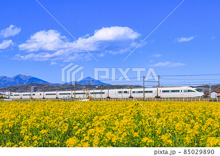 菜の花畑と小田急ロマンスカーVSE 85029890
