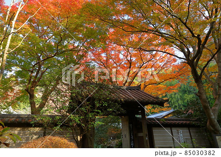 神奈川県鎌倉市二階堂 臨済宗円覚寺派錦屏山瑞泉寺山門の紅葉 神奈川県鎌倉市二階堂 臨済宗円覚寺派錦屏山瑞泉寺山門の紅葉 85030382