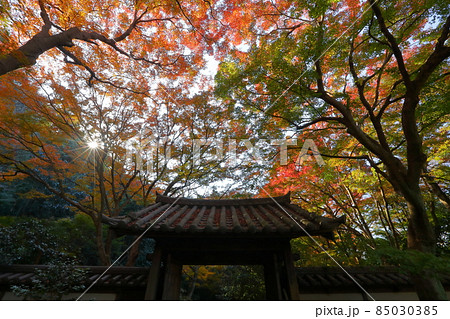 神奈川県鎌倉市二階堂 臨済宗円覚寺派錦屏山瑞泉寺山門の紅葉 神奈川県鎌倉市二階堂 臨済宗円覚寺派錦屏山瑞泉寺山門の紅葉 85030385