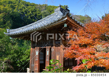 神奈川県鎌倉市二階堂　臨済宗円覚寺派錦屏山瑞泉寺　名勝瑞泉寺庭園前の紅葉 85030454