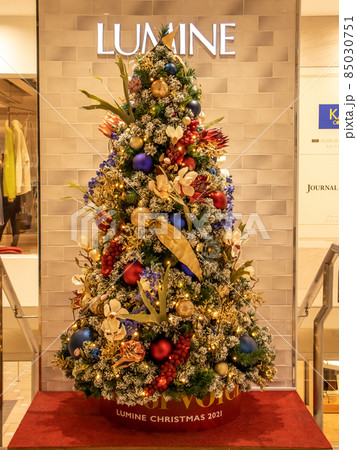 2025年最新 キッチン・日用品・その他 * vintage mole tree