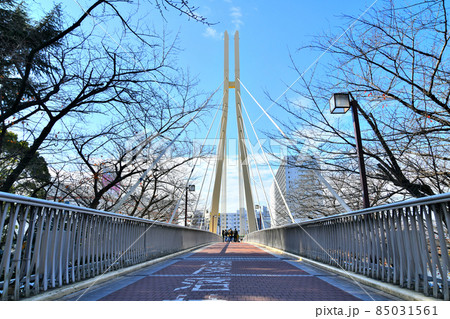 かもめ橋/京浜運河 勝島方向を望む(東京都品川区)【2021.12】 かもめ橋/京浜運河 勝島方向を望む(東京都品川区)【2021.12】 85031561