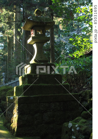 ご鎮座1250年の箱根神社と九頭龍神社新宮 85031695