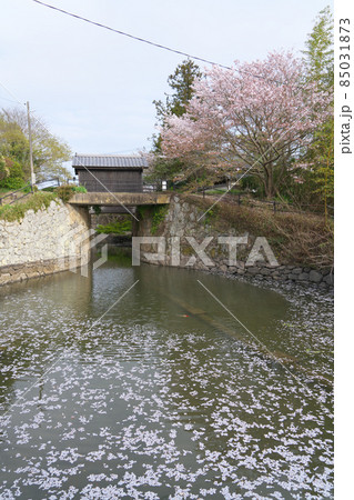 【世界かんがい施設遺産】倉安川・百間川かんがい遺産群の倉安川吉井水門の春5　岡山県岡山市東区 85031873
