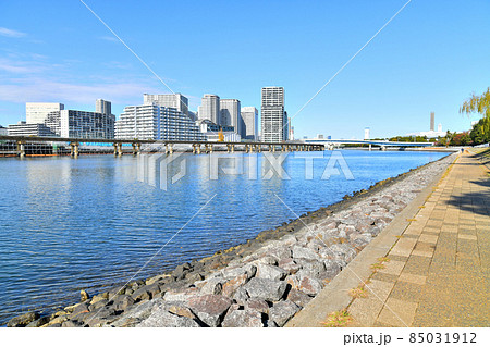 京浜運河緑道公園より品川シーサイド方面を望む(東京都品川区)【2021.12】 85031912