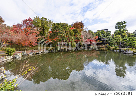 京都 晩秋の渉成園 京都 晩秋の渉成園 85033591