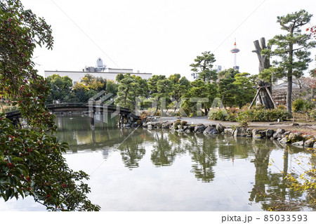 京都 晩秋の渉成園 京都 晩秋の渉成園 85033593