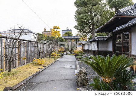 京都　晩秋の渉成園 85033600