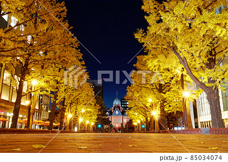 札幌市・赤れんが庁舎 85034074