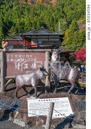 静岡県榛原郡川根本町　寸又峡温泉 85034594