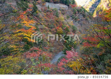静岡県榛原郡川根本町　紅葉の寸又峡 85034756