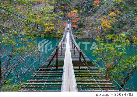 静岡県榛原郡川根本町 紅葉の寸又峡 静岡県榛原郡川根本町 紅葉の寸又峡 85034782