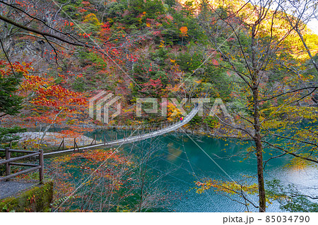 静岡県榛原郡川根本町 紅葉の寸又峡 静岡県榛原郡川根本町 紅葉の寸又峡 85034790