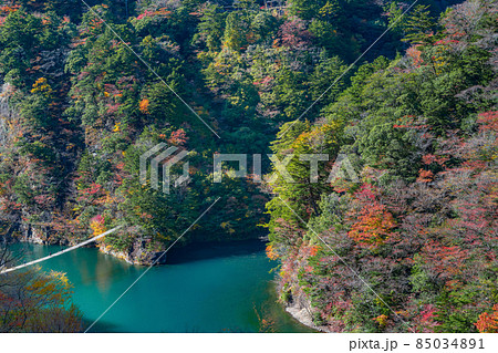 静岡県榛原郡川根本町　紅葉の寸又峡 85034891
