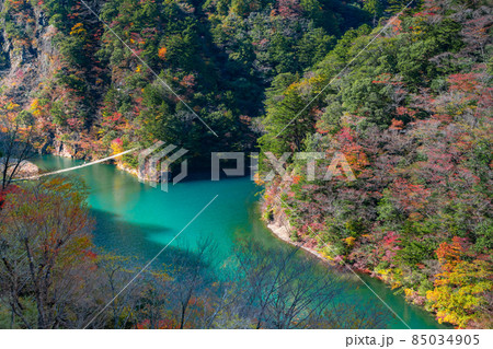 静岡県榛原郡川根本町　紅葉の寸又峡 85034905