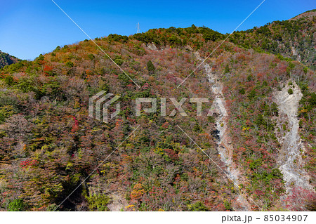 静岡県榛原郡川根本町　紅葉の寸又峡 85034907