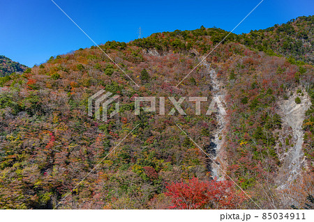 静岡県榛原郡川根本町　紅葉の寸又峡 85034911