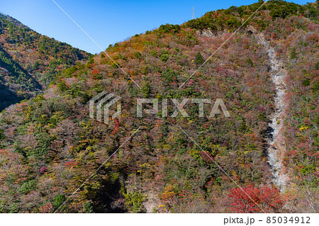 静岡県榛原郡川根本町　紅葉の寸又峡 85034912