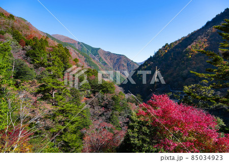 静岡県榛原郡川根本町　紅葉の寸又峡 85034923