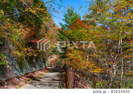 静岡県榛原郡川根本町 紅葉の寸又峡 静岡県榛原郡川根本町 紅葉の寸又峡 85034930